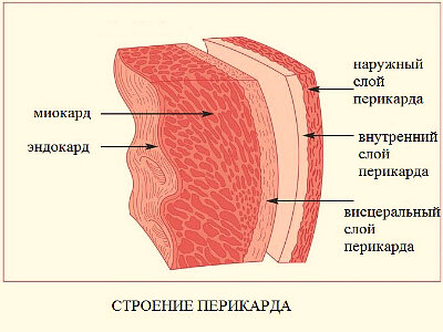 проводящая